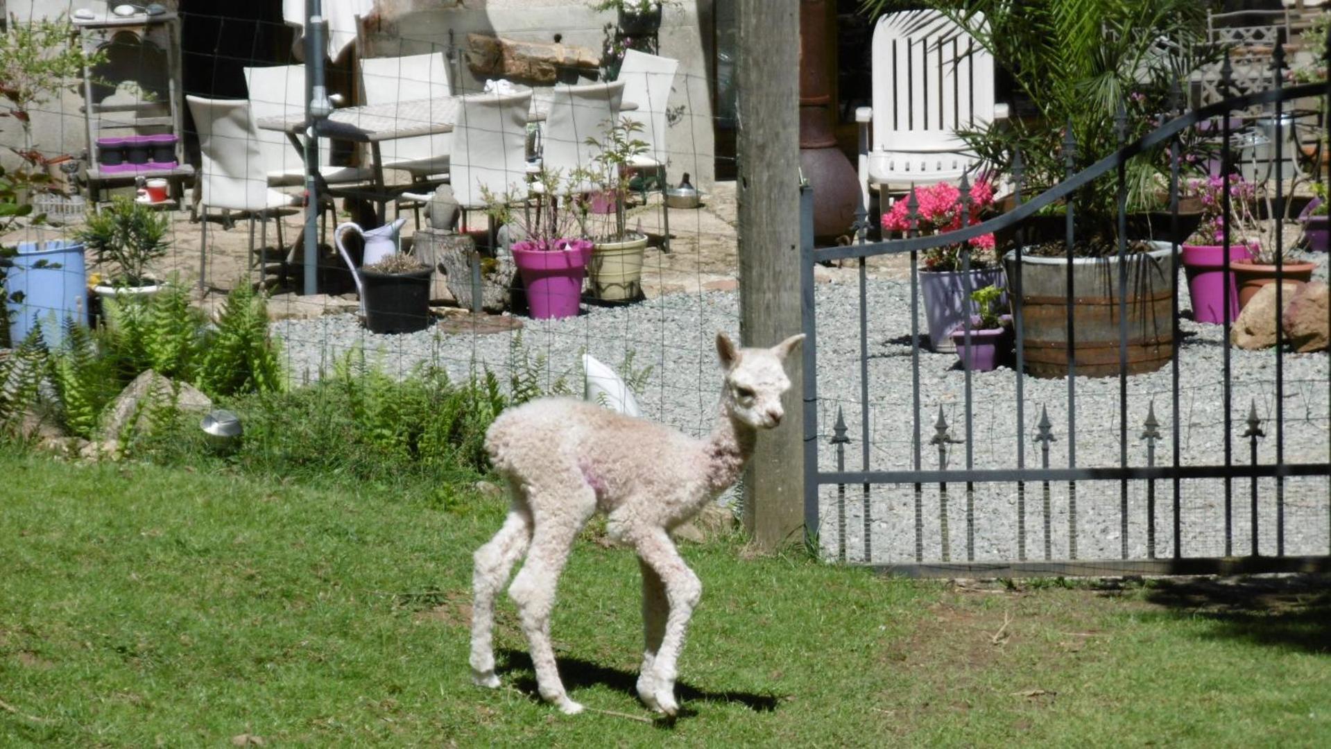 慵懒时光住宿加早餐旅馆 Rancon 外观 照片