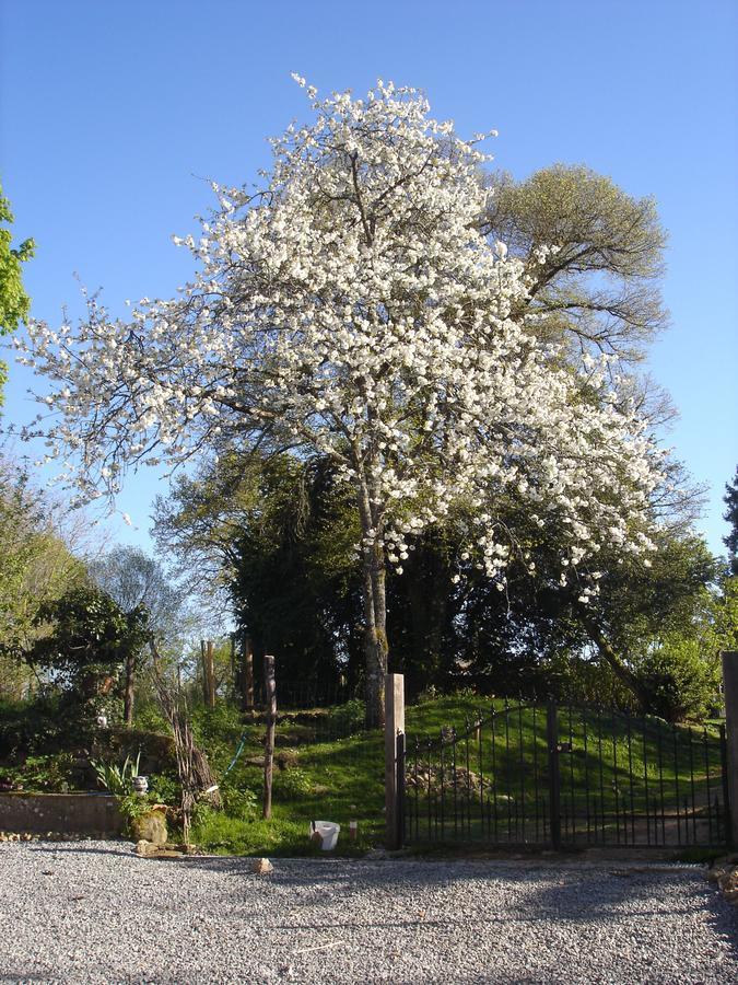 慵懒时光住宿加早餐旅馆 Rancon 外观 照片